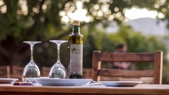 Una experiencia gastronómica única con sabor a oliva