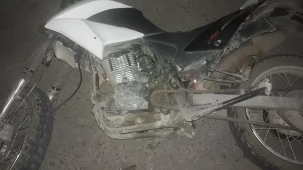 Impactó contra un árbol y no pudo sobrevivir