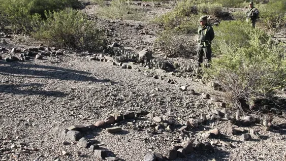 Geoglifos: conformaron una comisión de especialistas para investigar el sitio