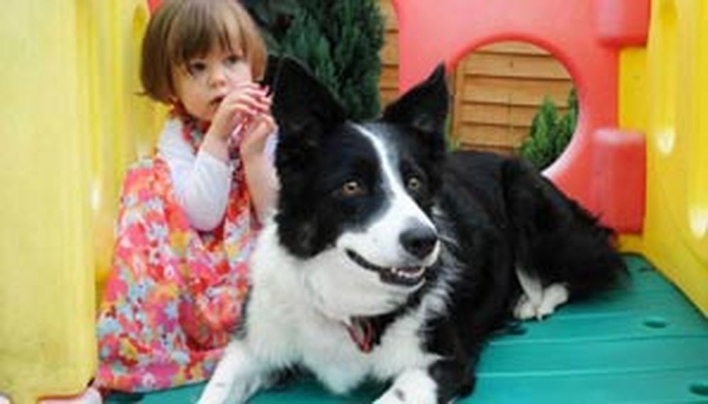 Le detectaron a tiempo un cáncer a su hija gracias al perro