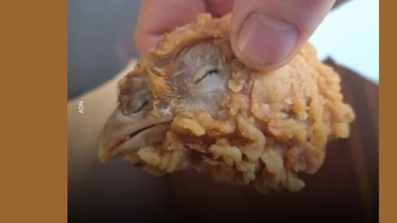 Espantoso hallazgo: pidió alitas y encontró la cabeza de un pollo frita