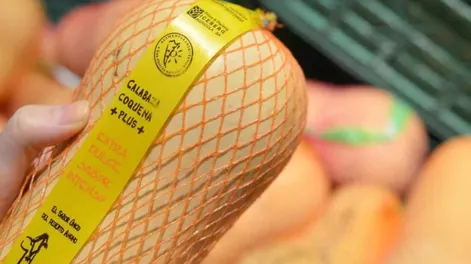 Agilizan los beneficios para las empresas certificadas