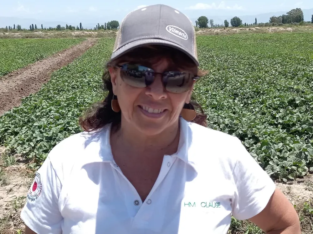 Los melones se expresan mejor en la zona de Media Agua, San Juan