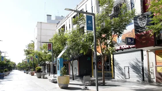 Ya se puede tramitar el “Certificado Único”, pero hay problemas con la página