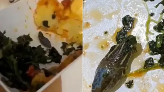 Encontró la cabeza de un animal en la ensalada que le sirvieron en el avión
