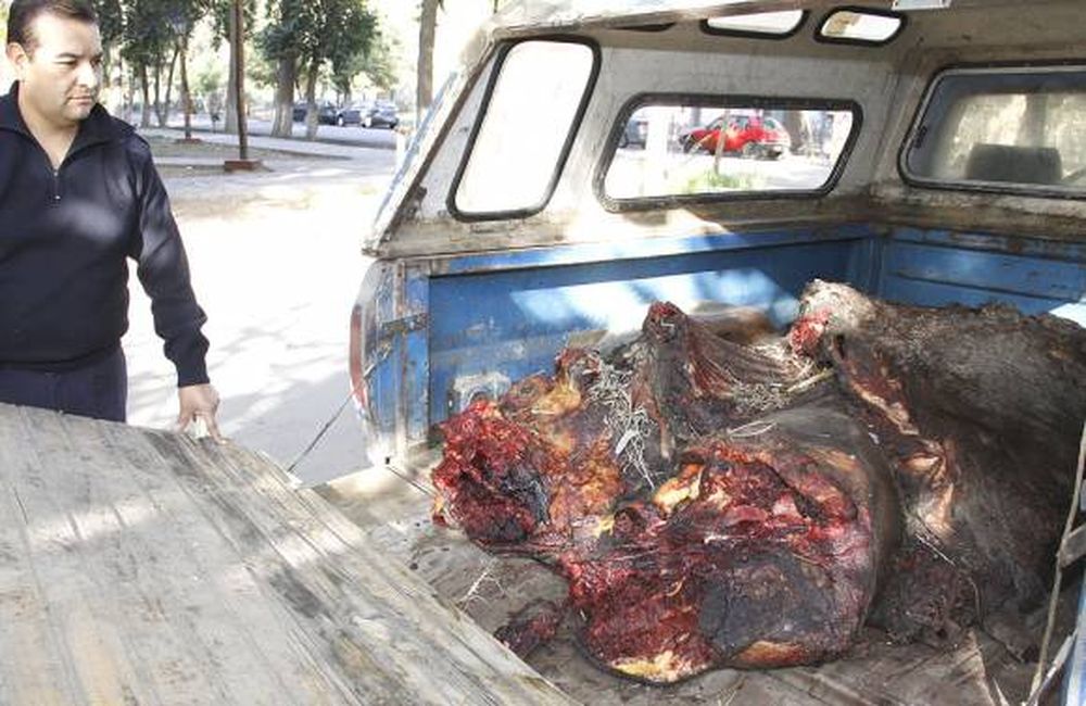 Preso por cuatrerismo