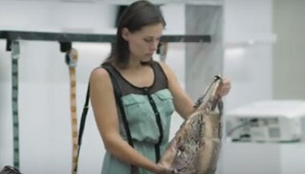 Durísima campaña contra la comercialización del cuero