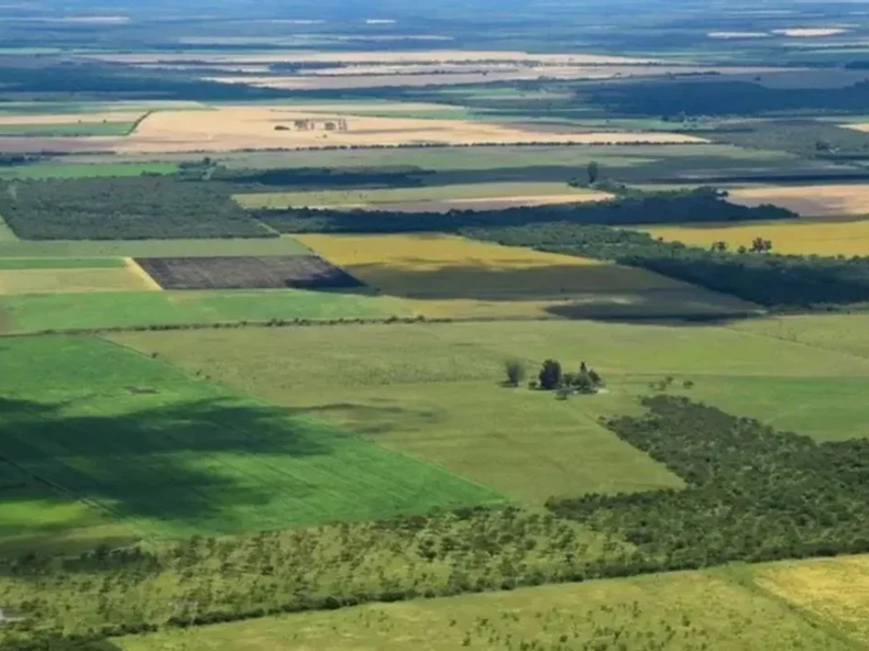 La Corte revocó el fallo que declaraba inconstitucional la derogación de la Ley de Tierras.