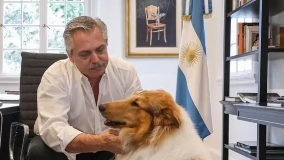 El ex presidente Fernández despidió a su perro Dylan: “Me regalaste una amistad que solo algunos humanos me han dado”