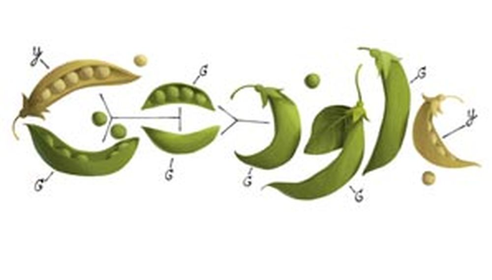 Guisantes por Mendel