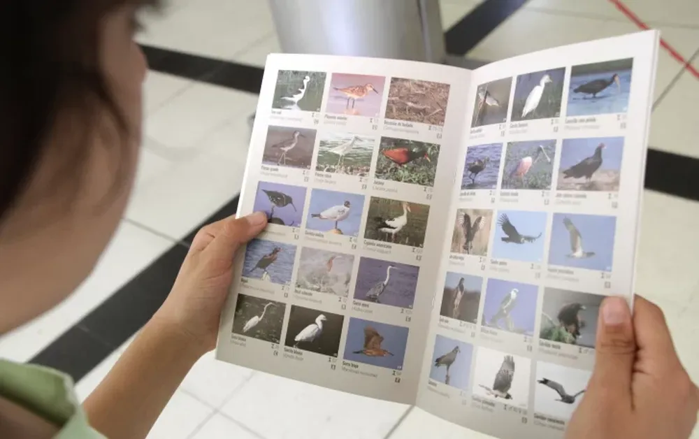 INÉDITO. El primer catálogo de aves contiene fotos de las especies que viven en el Parque Sarmiento como de las que pasan y llegan al lugar ocasionalmente.