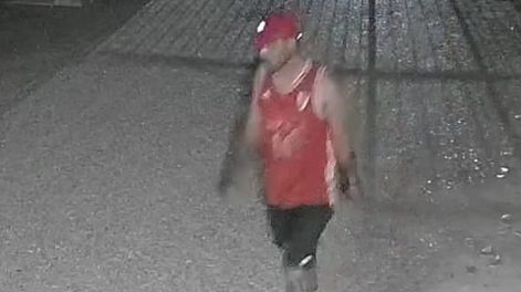 Vive en un barrio cerrado, robaron en su casa y los ladrones quedaron filmados