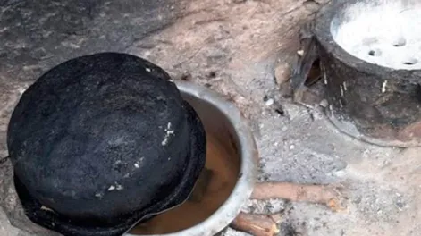 Sequía en Kenia: muerte de 205 elefantes y otros 1.030 animales salvajes