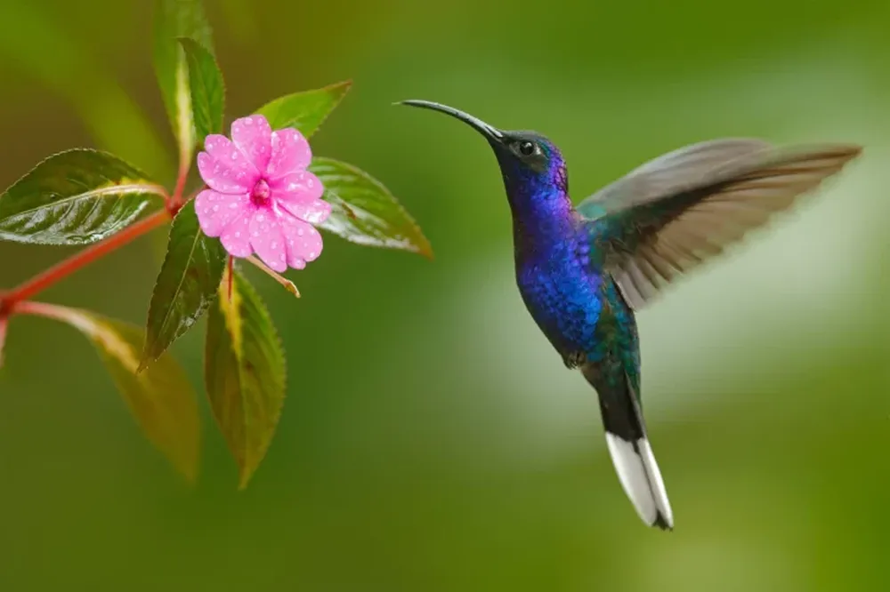 El detalle de color en tu espacio