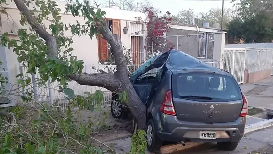Perdió el control de su auto, impactó contra un árbol y murió en el acto