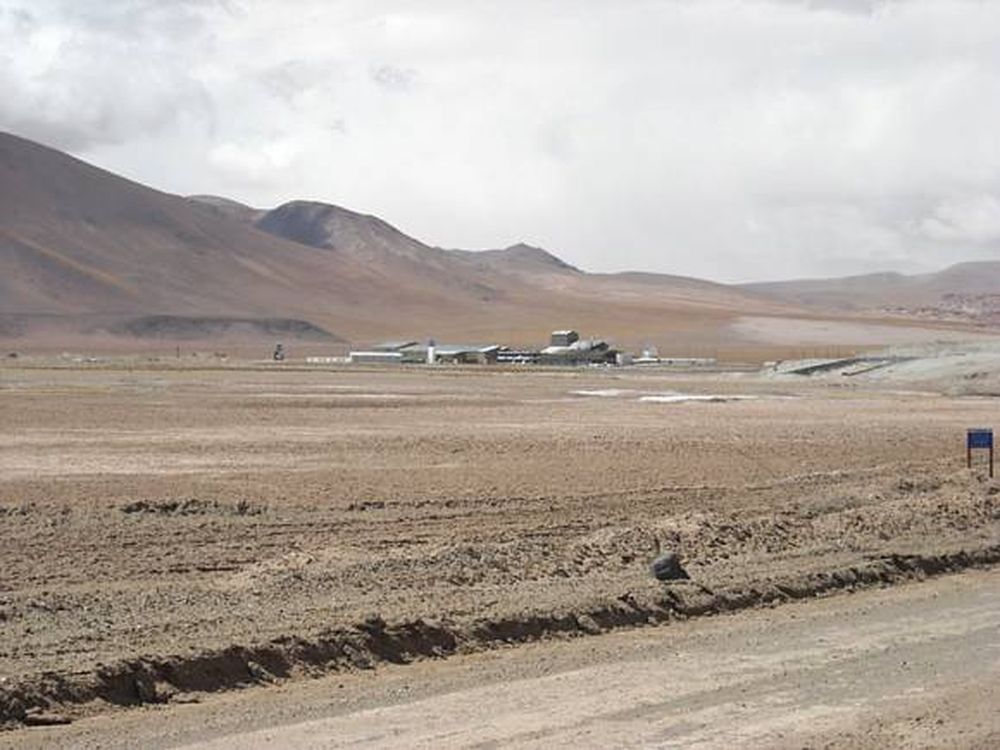 Casi 500 millones de pesos para buscarlo en Argenina