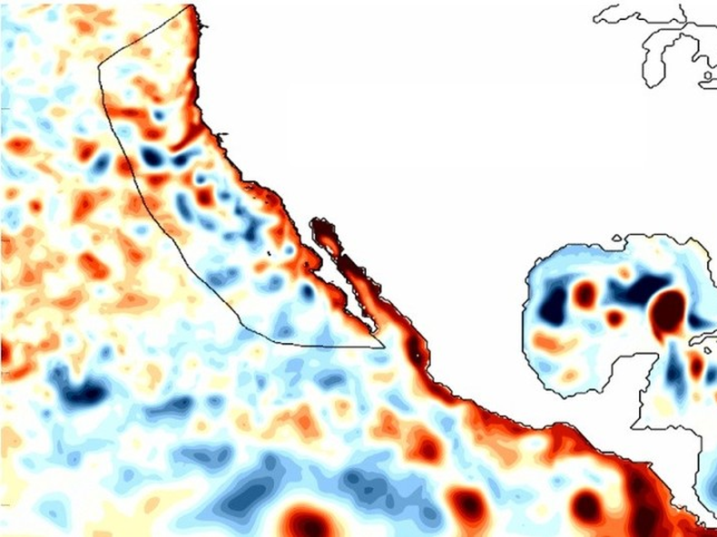 Las ondas Kelvin atrapadas en la costa, un rasgo característico de El Niño, se desplazaron hacia el norte a lo largo de la costa oeste durante el fenómeno de El Niño de 1997/1998, como se muestra en un mapa de anomalías en la altura de la superficie del mar. Foto: NOAA.