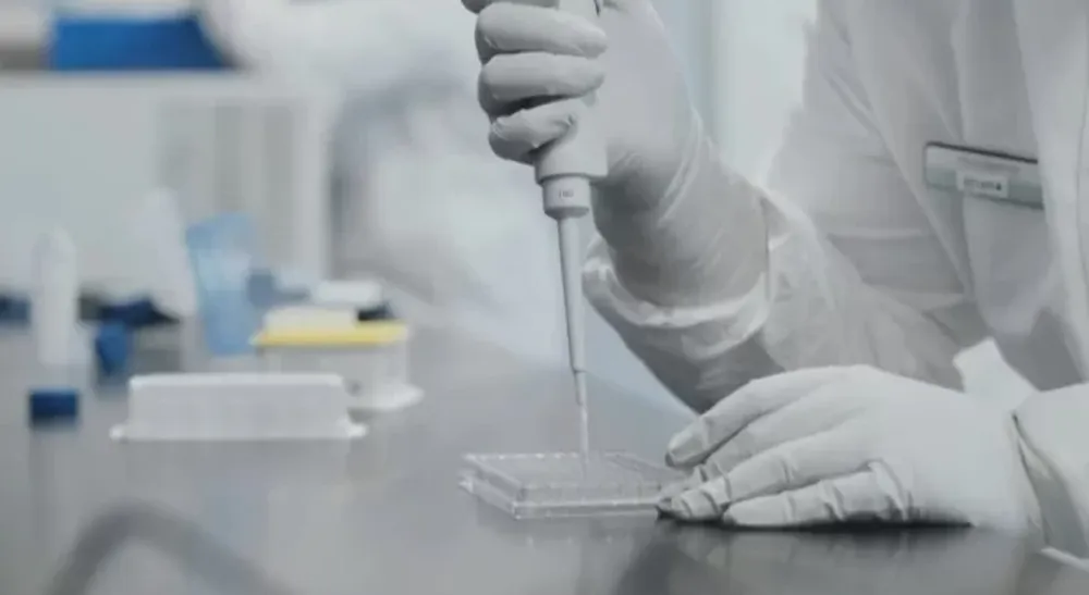 La actualización de la vacuna contra el COVID-19 estará disponible en los EEUU desde septiembre