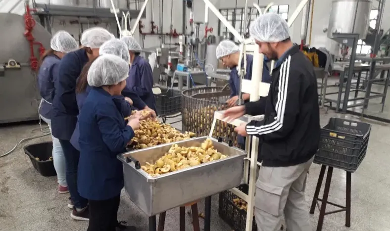 Cursos gratuitos y virtuales