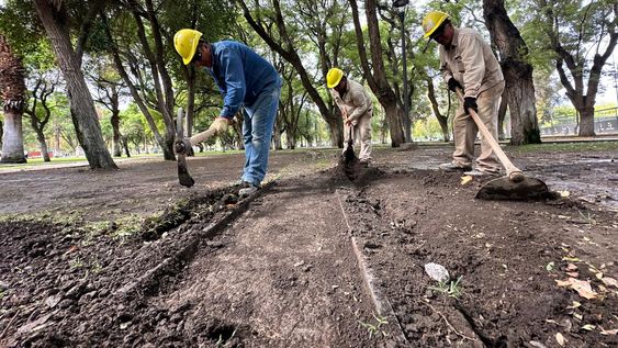 Ya comenzaron los trabajos para volver&nbsp; echar a andar el histórico trencito del Parque de Mayo.