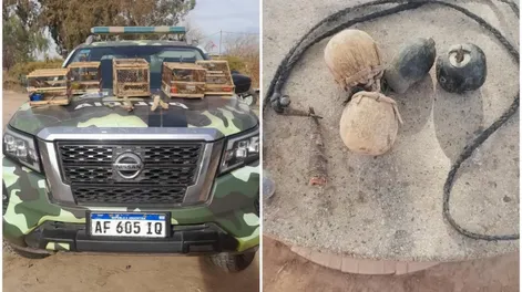 Secuestraron perros galgos, aves autóctonas y elementos de caza: hay 5 detenidos