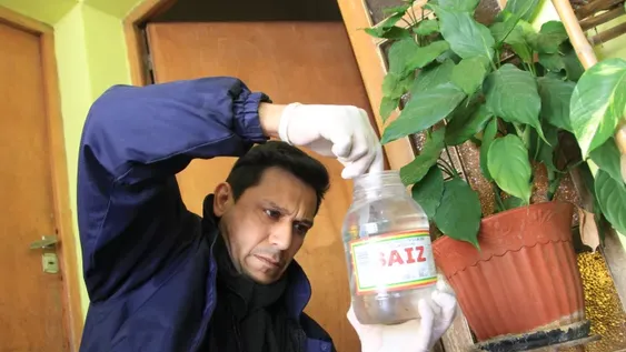 De los 48 casos autóctonos de dengue, 2 pacientes aún permanecen internados