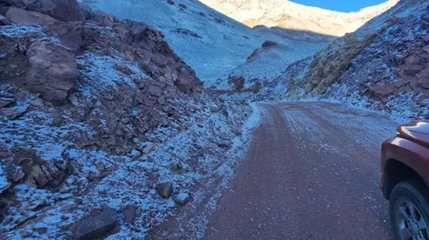 Argentina es uno de los pocos países del planeta que captura más carbono del que emite