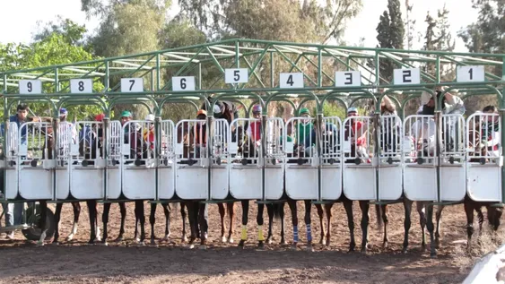 Corren el Preparatorio del Sarmiento