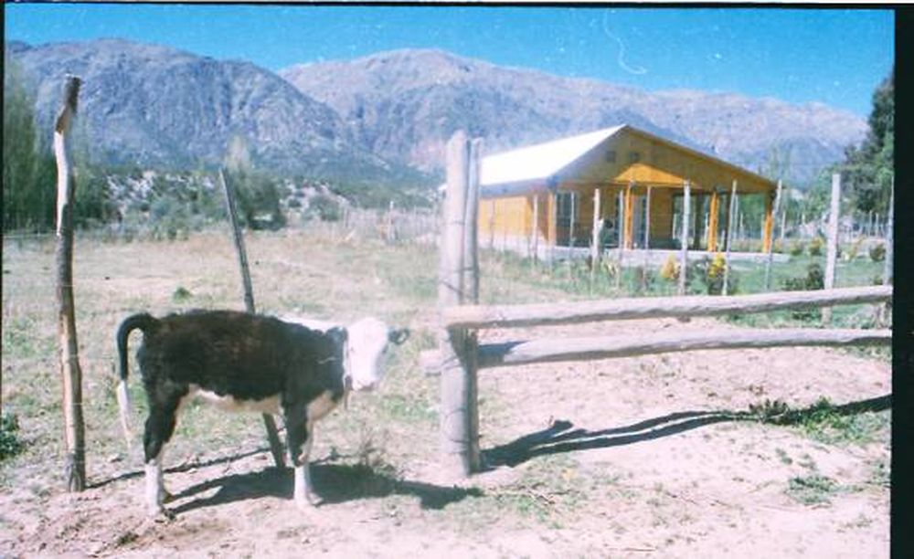 Las dos caras de un oasis
