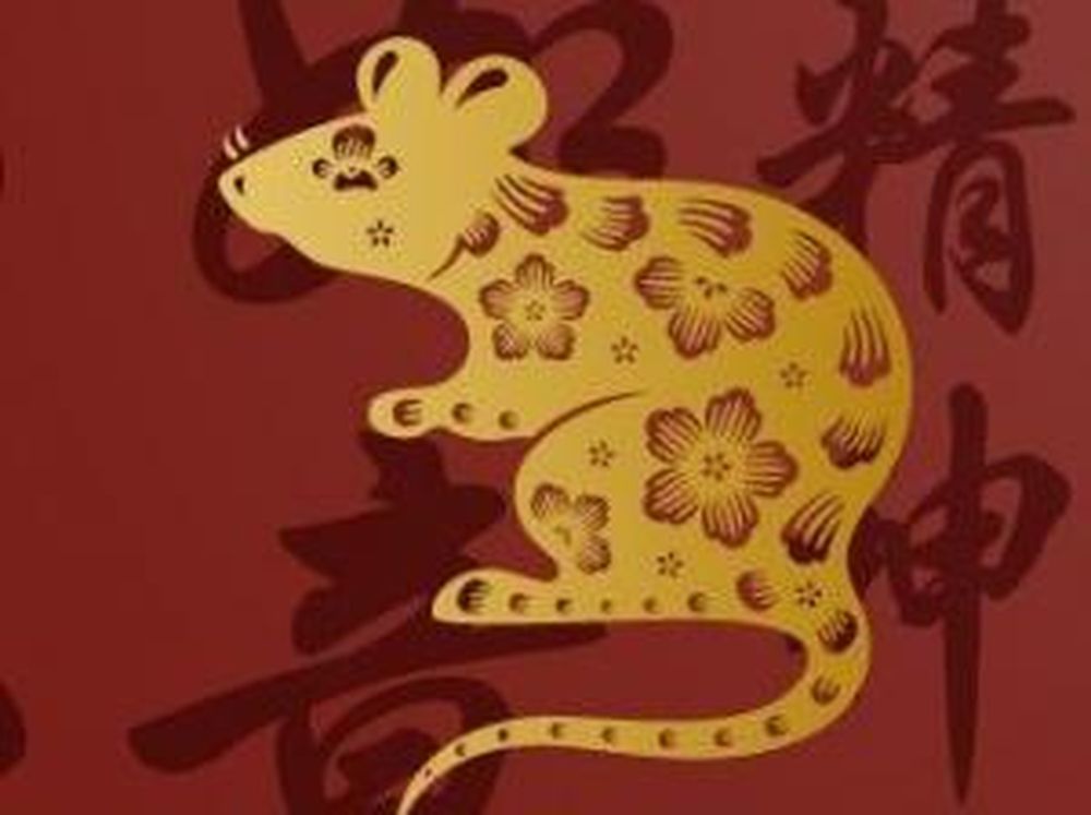 Nuestra personalidad desde la infancia según la astrología china