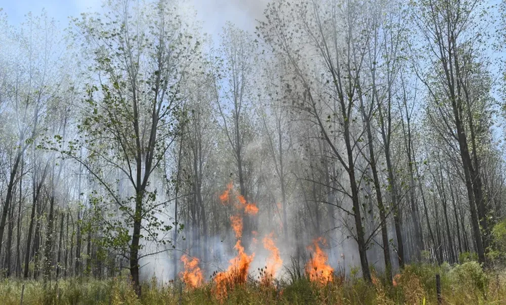 Emergencia ígnea para todo el país
