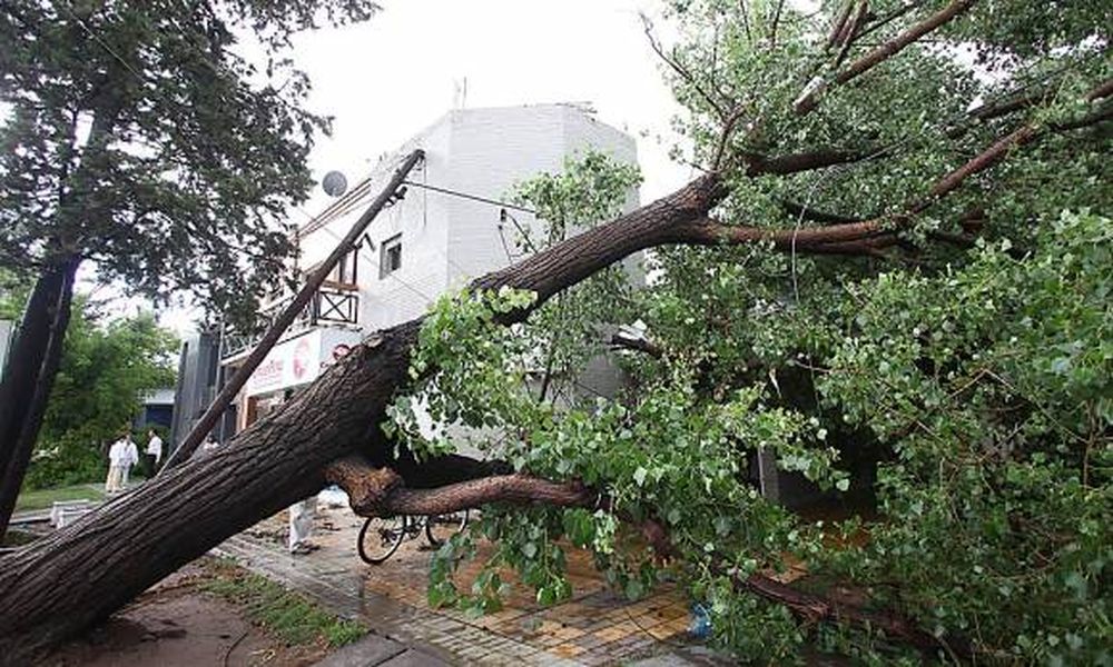 Un trágico temporal golpeó a San Rafael