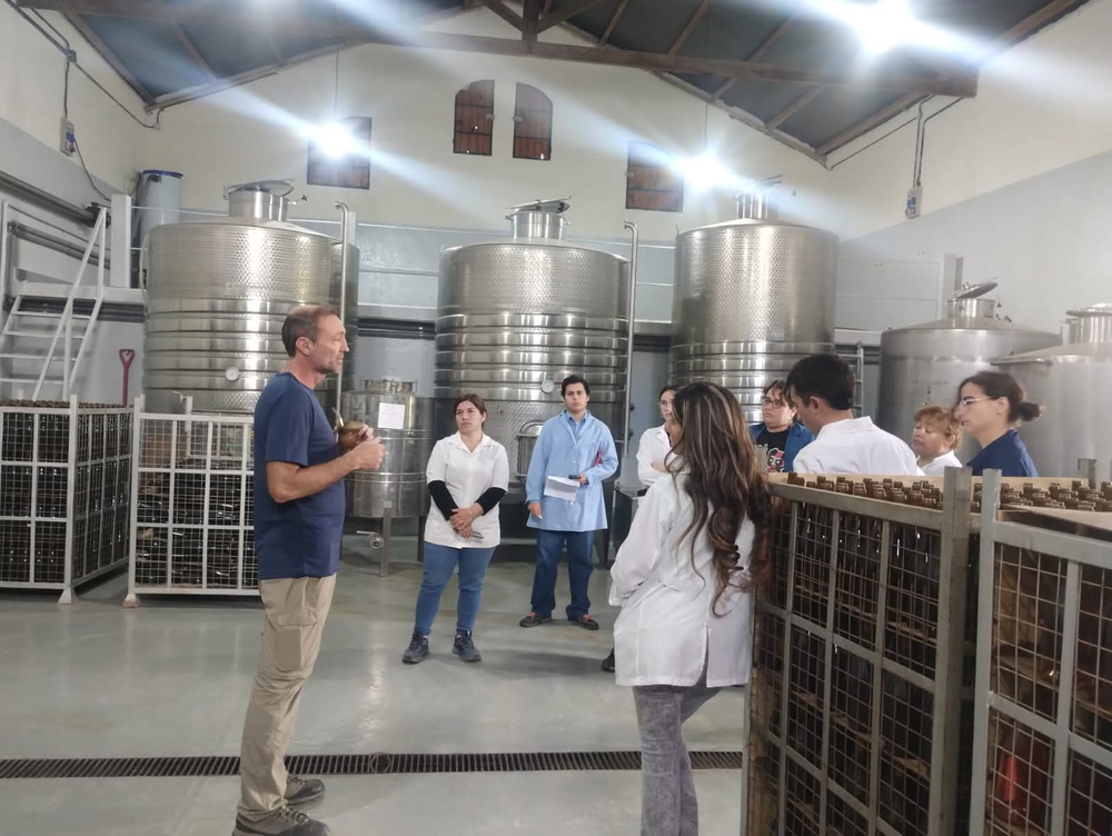 Más allá de la vendimia: los convenios del instituto con bodegas sanjuaninas permiten a sus alumnos conocer el trabajo de planta durante todo el año.