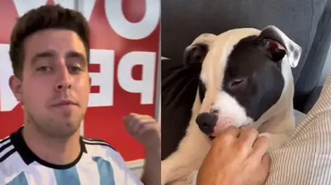 Un argentino llevó a su perra al veterinario en Miami y quedó asombrado por el precio
