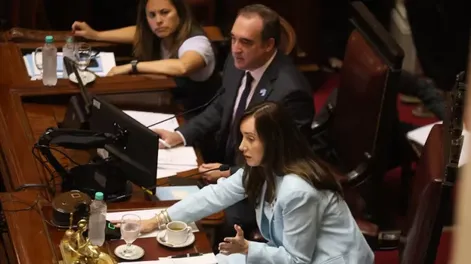 El Senado postergó el tratamiento del proyecto Ficha Limpia