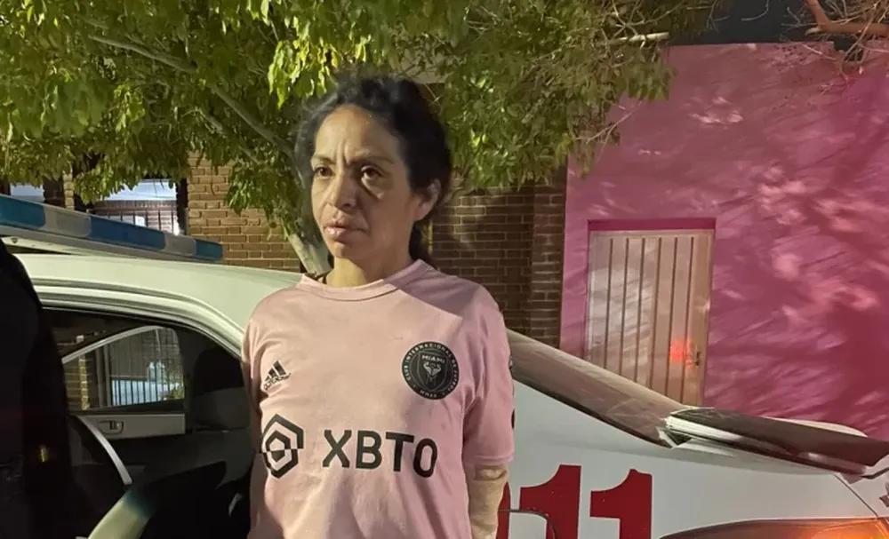 Golpeó a una empleada para robarle dos escobillones pero fue detenida