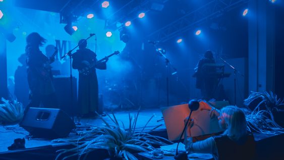 El arte emergente de San Juan, en sus distintas ramas, se dará cita en la segunda edición del Intruses Fest.&nbsp;