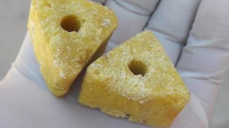 Características del control de roedores con expertos