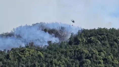 Incendio en el Parque Nahuel Huapi: el fuego ya consumió casi 6000 hectáreas