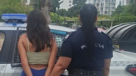Liberaron a la mujer que apuñaló a su inquilino por masturbarse frente a sus hijos