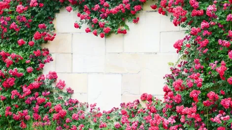 Diario de Cuyo | apertura 728x486.webp