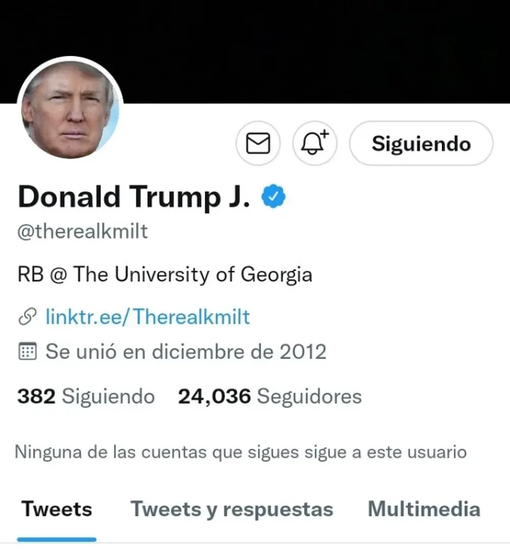 Musk dice que pasarán semanas hasta que las cuentas de Twitter suspendidas se restablezcan