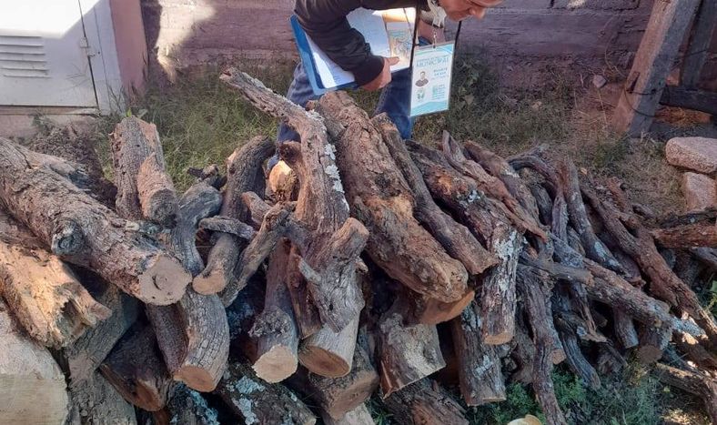 El municipio de Valle Fértil arrancó con la Campaña Chagas 2026 con visitas a domicilio para tareas preventivas.