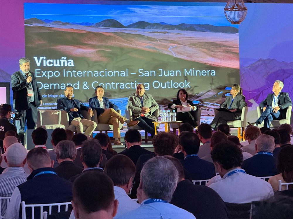 Leonardo Guevara presentó las etapas del Vicuña Project.