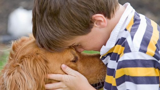 29 de abril, dia del animal, las mascotas en casa sanan