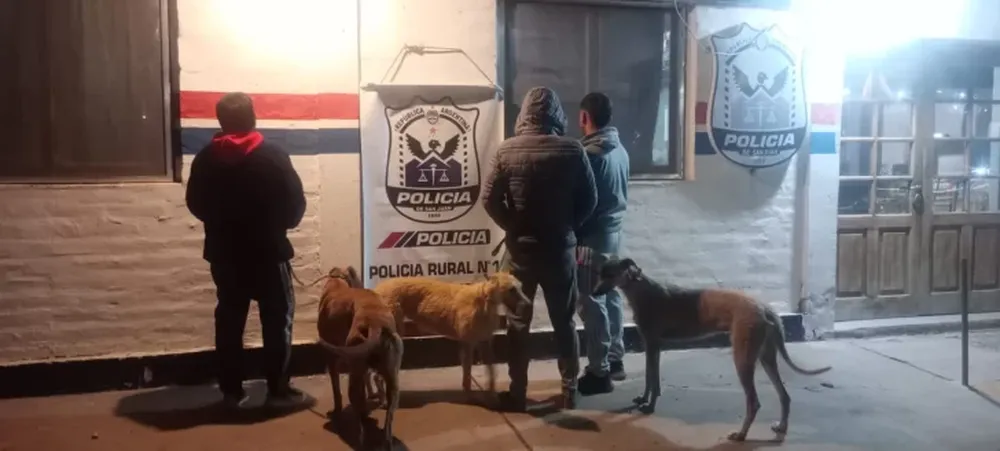 Tres sujetos terminaron tras las rejas por trasladar perros galgos