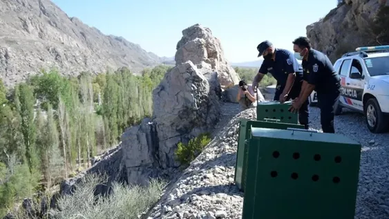 El arduo trabajo de la Policía Ecológica en San Juan: casi el doble de intervenciones con acta, más animales rescatados y menos contravenciones