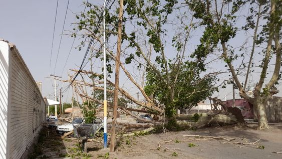 Los 5 adornos de Navidad que atraen la buena suerte