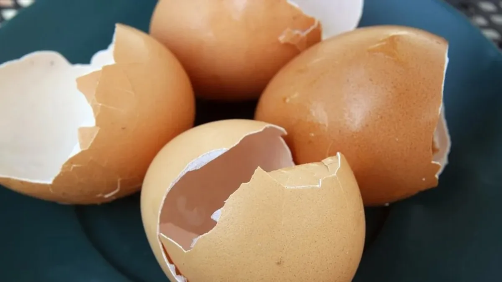 ¡No tires las cáscaras de huevo! El truco perfecto para limpiar las ollas y queden impecables