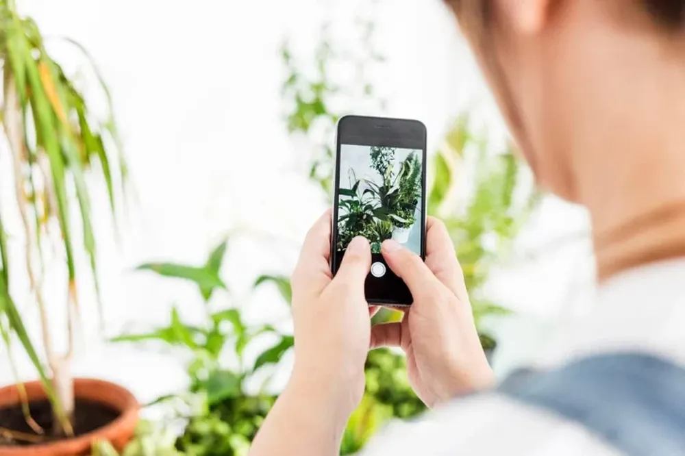 Las Apps para los amantes de las plantas